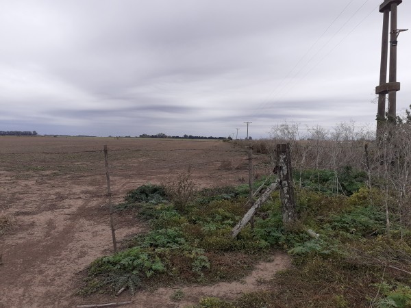 Campo Agrícola sobre Ruta 191- 7,5 Hectáreas - Pueblo Doyle