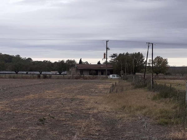 Campo Agrícola sobre Ruta 191- 7,5 Hectáreas - Pueblo Doyle
