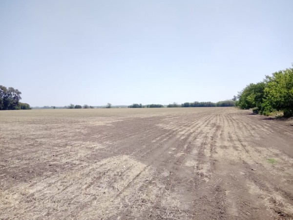 Campo 30 hectáreas agrícolas 