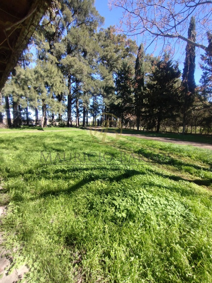 Campo de 10,5 Hectareas con importantes mejoras