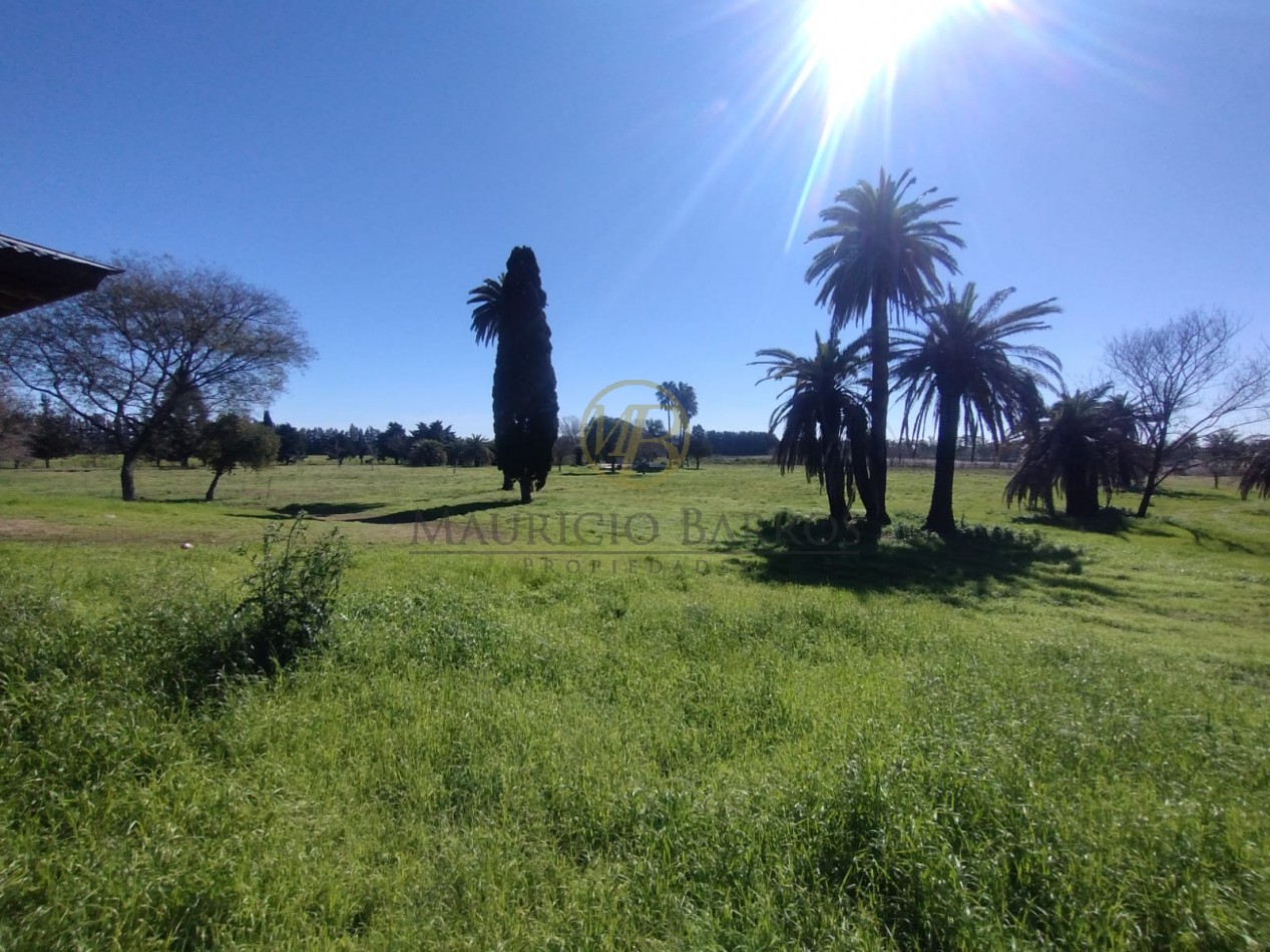 Campo de 10,5 Hectareas con importantes mejoras