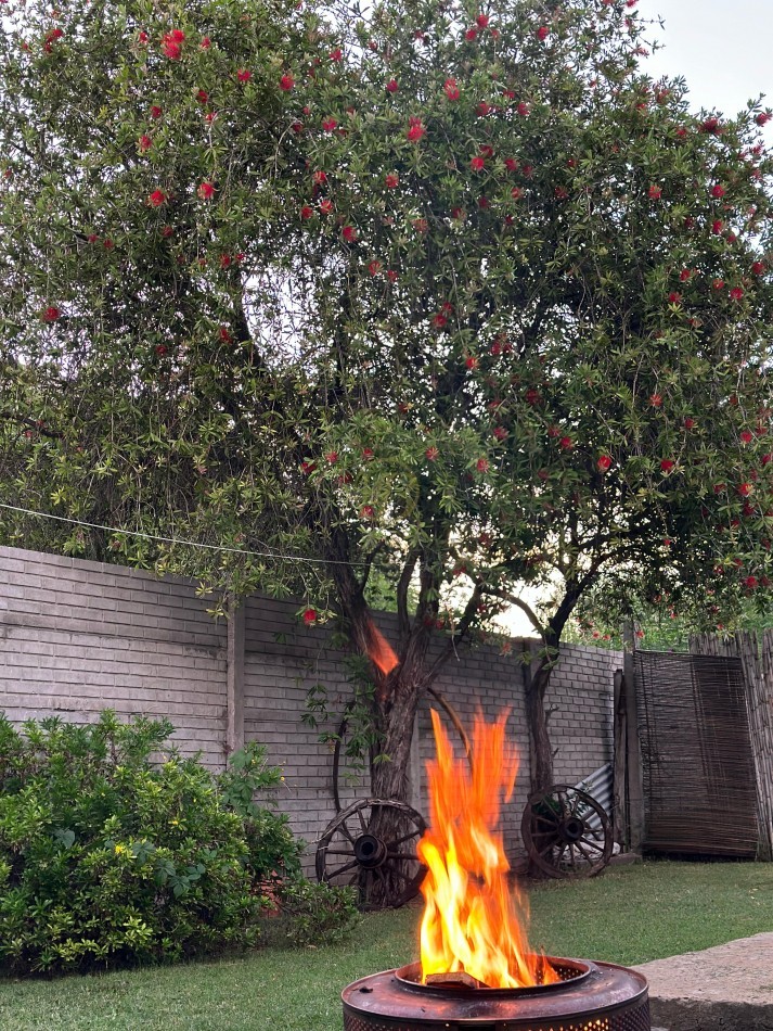 Casa principal, Departamento de 1 dormitorio y Monoambiente. Ubicados sobre terreno de 11 por 35 metros. 
