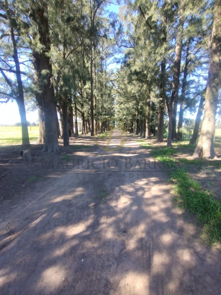 Campo de 10,5 Hectareas con importantes mejoras