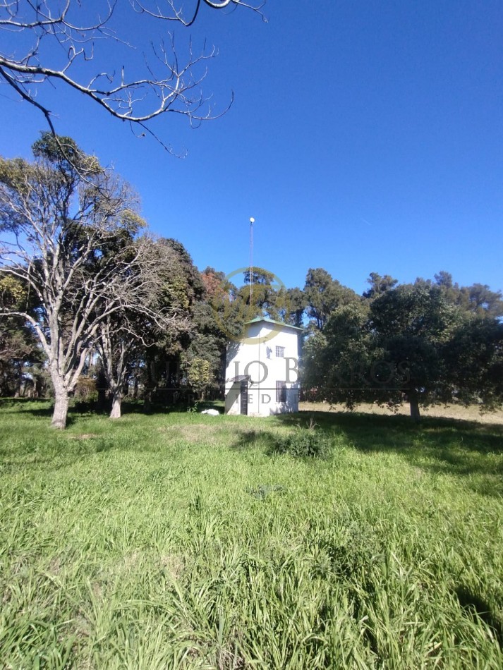 Campo de 10,5 Hectareas con importantes mejoras