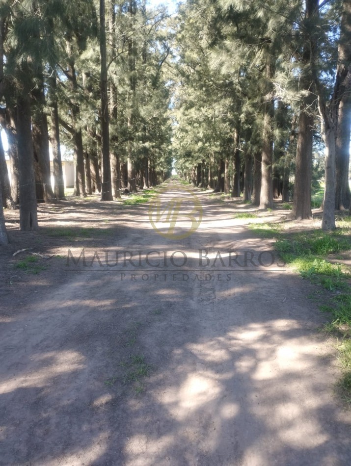 Campo de 10,5 Hectareas con importantes mejoras