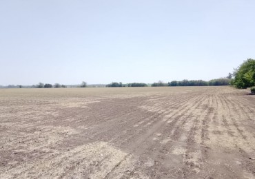 Campo 30 hectáreas agrícolas 