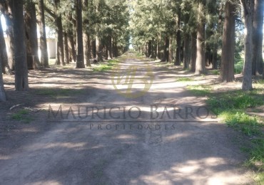 Campo de 10,5 Hectareas con importantes mejoras